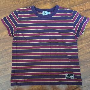 Calvin Klein Jeans Purple, Burgundy & Yellow Striped Short Sleeve Tee